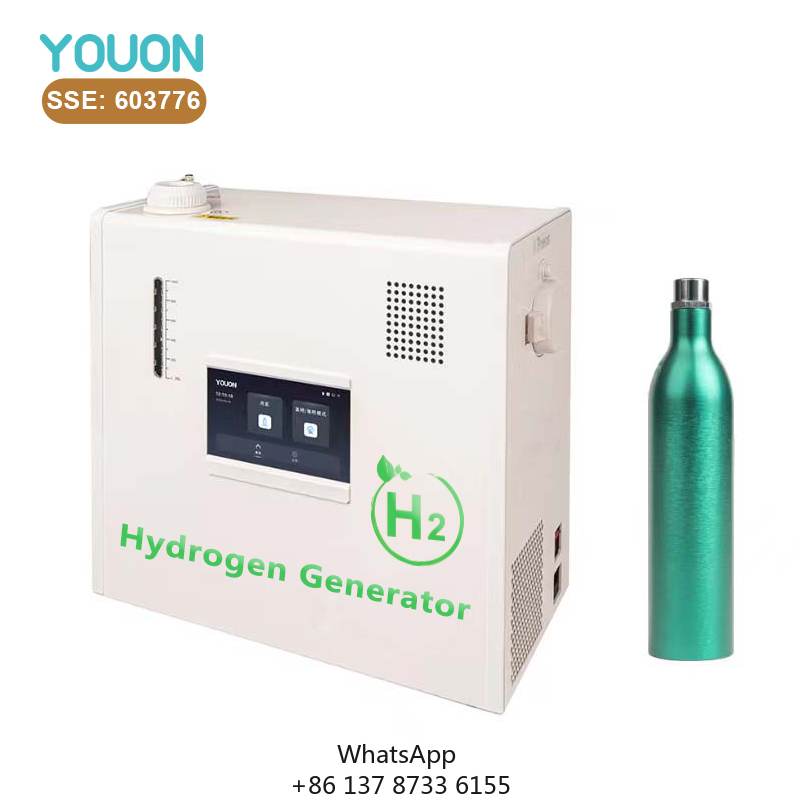 Renewable Energy Technology - 40L/h Hydrogen Generator Low-pressure Solid-state Hydrogen